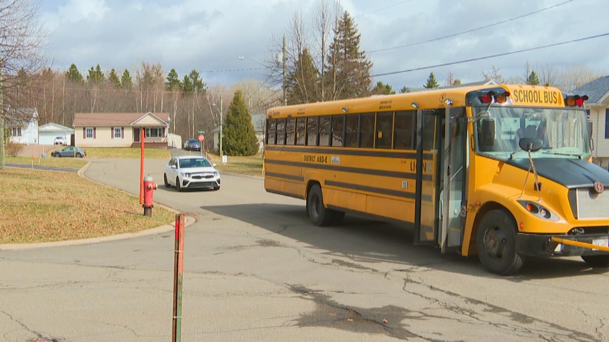 « Un conducteur d’autobus scolaire canadien choque les parents en s’habillant en écolière »