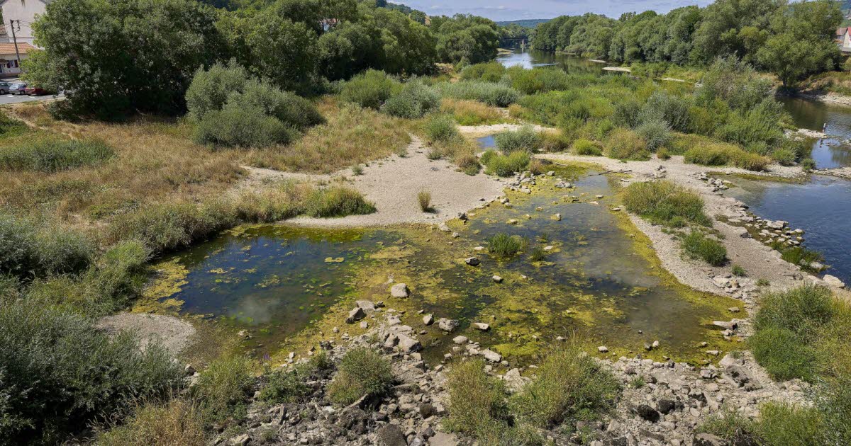 Sécheresse : La Meurthe-et-Moselle face à un drame écologique inédit