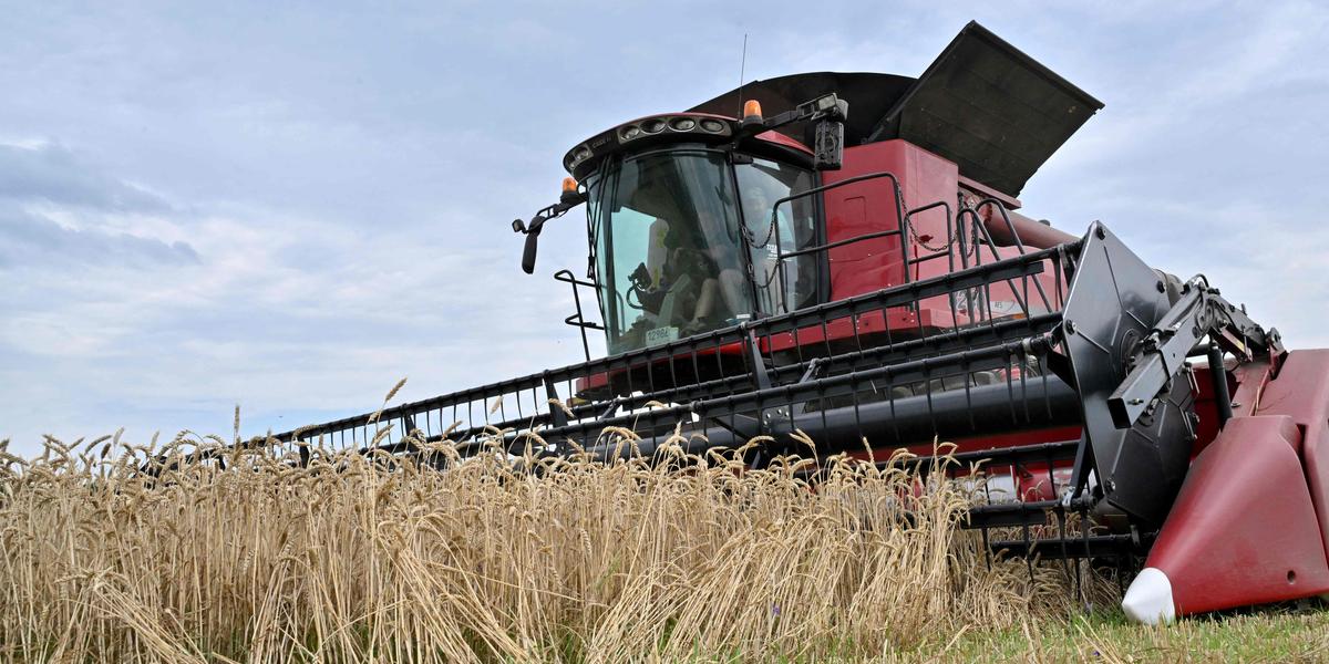 L’accord UE-Ukraine : une trahison pour l’agriculture européenne