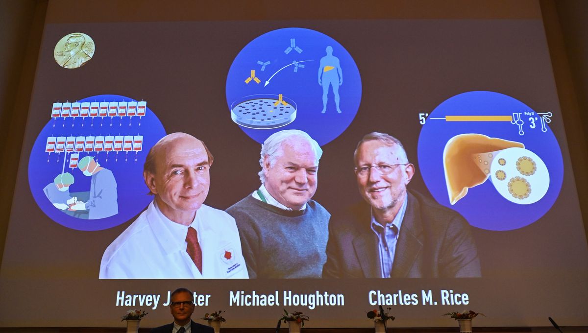 La découverte qui bouleverse la médecine : trois chercheurs récompensés par le Nobel